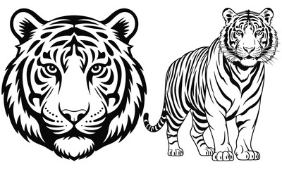 tiger vector illustration