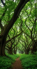 Enchanting forest path with gnarled ancient trees creating a natural archway of lush green foliage overhead