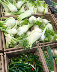 crates of vegetables with fennel and peppers for sale at the greengrocers stall