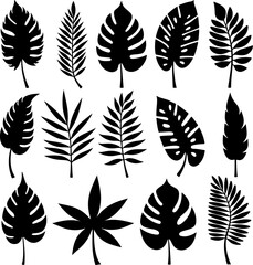 Tropical Leaf Silhouettes Collection vector bundle