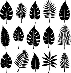 Tropical Leaf Silhouettes Collection vector bundle