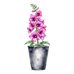 Pink Hollyhock Flower Pot Watercolor Painting.
