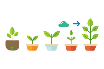seed to sprout growth icon sequence set