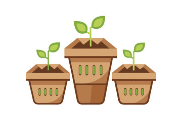 DIY Recycled Newspaper Seed Pots Plant  