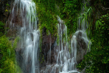 Obraz premium 奄美大島の夏の風景。糸をひく水の流れ。