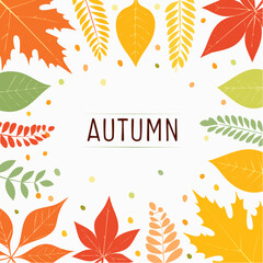 Stylish Fall Themed Banner with Vibrant Leaves Border and Clean Minimalist Layout Suitable for Seasonal Advertising and Event Announcements
