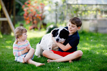 School kid boy and little toddler girl playing with family dog in garden. Two children, adorable...