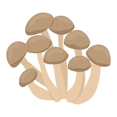 Vector illustration of a cluster of brown mushrooms with smooth caps and pale stems. Simplistic design suitable for culinary, botanical, or educational content about fungi