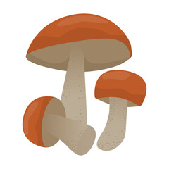 Vector illustration of three red-cap mushrooms, featuring simple and clean design with flat colors. Perfect for educational materials, culinary guides, and nature-themed projects
