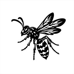 Obraz premium Capybara illustration