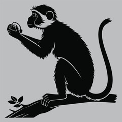 Fototapeta premium Vervet Monkey Grabbing Food Silhouette vector design art and illustration