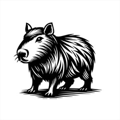 Fototapeta premium Capybara illustration