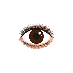 A detailed illustration of a brown eye with long lashes