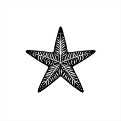 Obraz premium Starfish illustration on white background