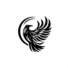 Obraz premium Eagle with wings in flight