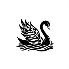 Obraz premium Swan swimming isolated on white