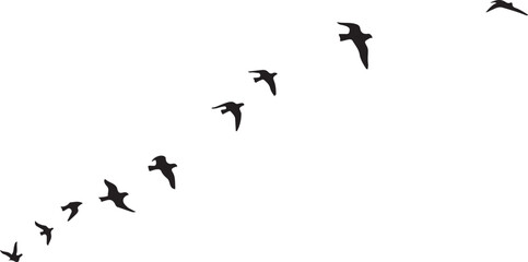 Black and white vector illustration of flying birds with an abstract background