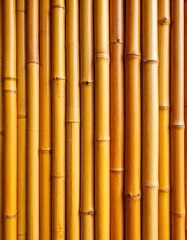 Fototapeta premium Close-up of golden bamboo stalks (1)