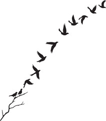 Black and white vector illustration of flying birds with an abstract background