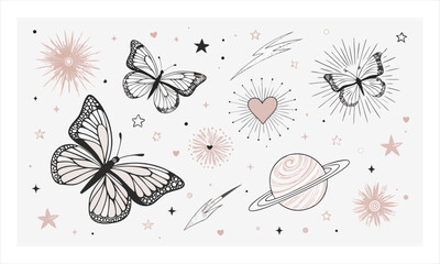 butterflies and flowers