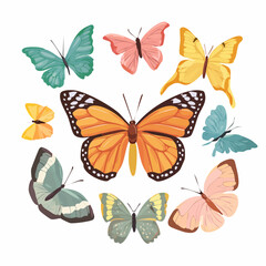 Obraz premium Vibrant Butterfly Collection: An Array of Colorful and Delicate Winged Insects on Display