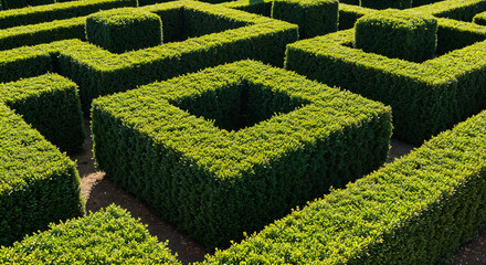 a maze of green moss walls . Generative AI