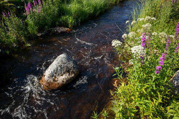 Shallow stream in sunny public park, Oulu Finland