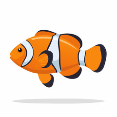 Vibrant clownfish illustration with distinct white stripes and bold color scheme