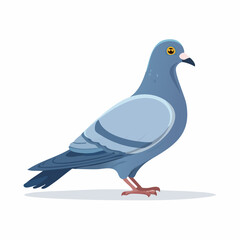 Cartoon pigeon illustration in profile, embodying urban bird depiction against white backdrop