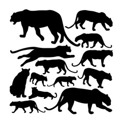 Leopard Silhouette Vector Collection Design