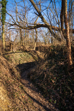 Zhukov&rsquo;s Command Post Bunker at Seelow Heights, Brandenburg, Germany