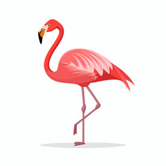 Obraz premium Elegant Flamingo Illustration with Graceful Posture and Vibrant Pink Plumage Displayed