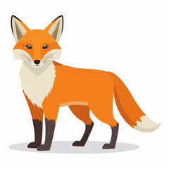 Obraz premium Charming cartoon fox illustration with vibrant orange fur and detailed features standing alert