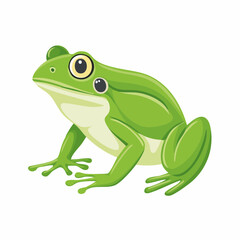 Cartoon Green Frog Illustration with White Background for Children's Education