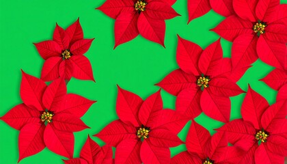 Obraz premium Red poinsettias arranged on a green background