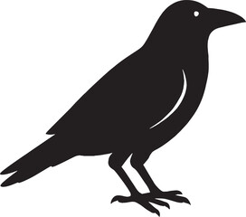 Fototapeta premium A Solitary Crow Silhouette Standing Tall Bird Represents Themes of Mystery and Intelligent Wildlife Symbolism