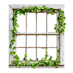 Charming rustic wooden window frame adorned with vibrant green ivy vines creating a beautiful natural border, perfect for adding organic charm to your designs.