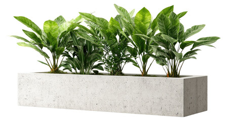 Long rectangular planter box filled with lush greenery