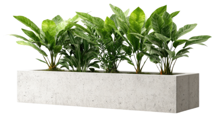Long rectangular planter box filled with lush greenery