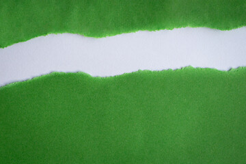 Torn green paper into half on top of white background. Copy space.