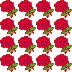 Rose flower 