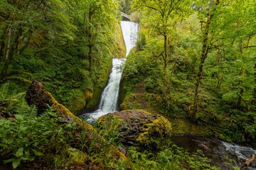 Cascading Waterfall in Lush Forest