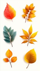 Colorful autumn leaves arranged in a neat display showcasing vibrant fall hues during a seasonal change