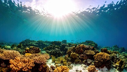 Vibrant Underwater Coral Reef Illuminated by Sunlight