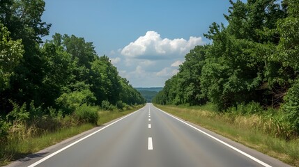 Aerial view of a straight road through lush greenery, symbolizing harmony between transport and nature&mdash;ideal for sustainability, World Environment Day, and eco-friendly themes.