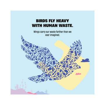 Wings of Waste &ndash; A Visual Message on How Birds Carry the Burden of Human Plastic Pollution

