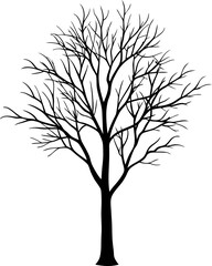 Obraz premium Winter Tree Silhouette in Detail