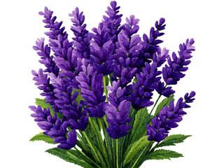 Obraz premium A vibrant bouquet of purple lavender flowers, Isolated On White Background, Png Transparent