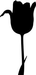 Silhouette of a Tulip Flower" vector