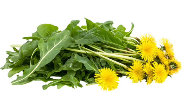 Dandelion Greens pile png